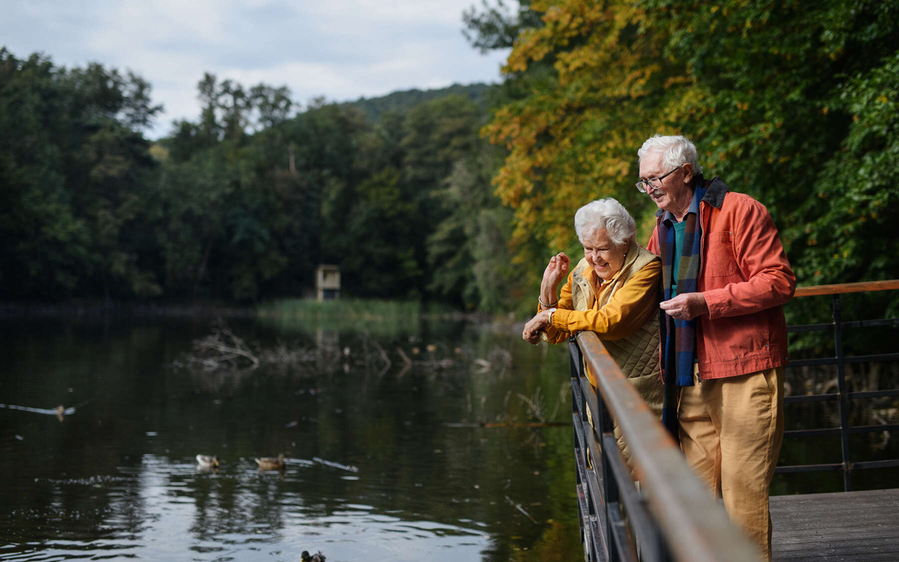 6 happy senior couple at autumn walk near the lake 2023 11 27 05 08 22 utc